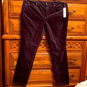 Skinny Sonoma velvet dark purple size 14
